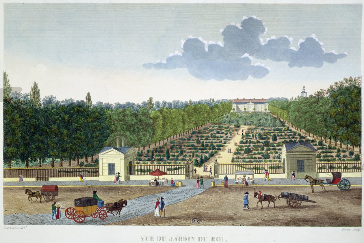 View of the Jardin du Roi in Paris from the bridge of Austerlitz, engraved by Claude Fortier (1775-1835) by Henri (after) Courvoisier Voisin