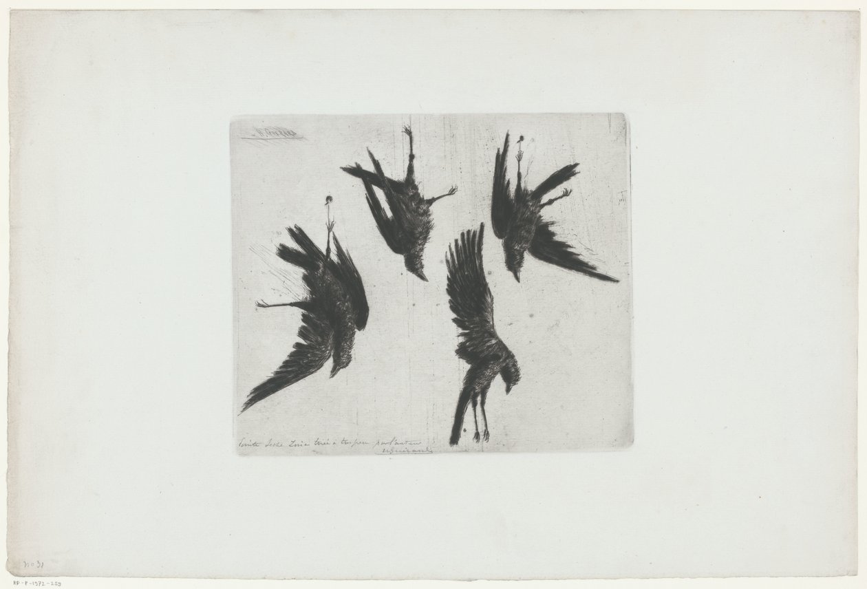 Four Dead Crows Hanging on a Wall by Henri Charles Guérard (signed by artist)