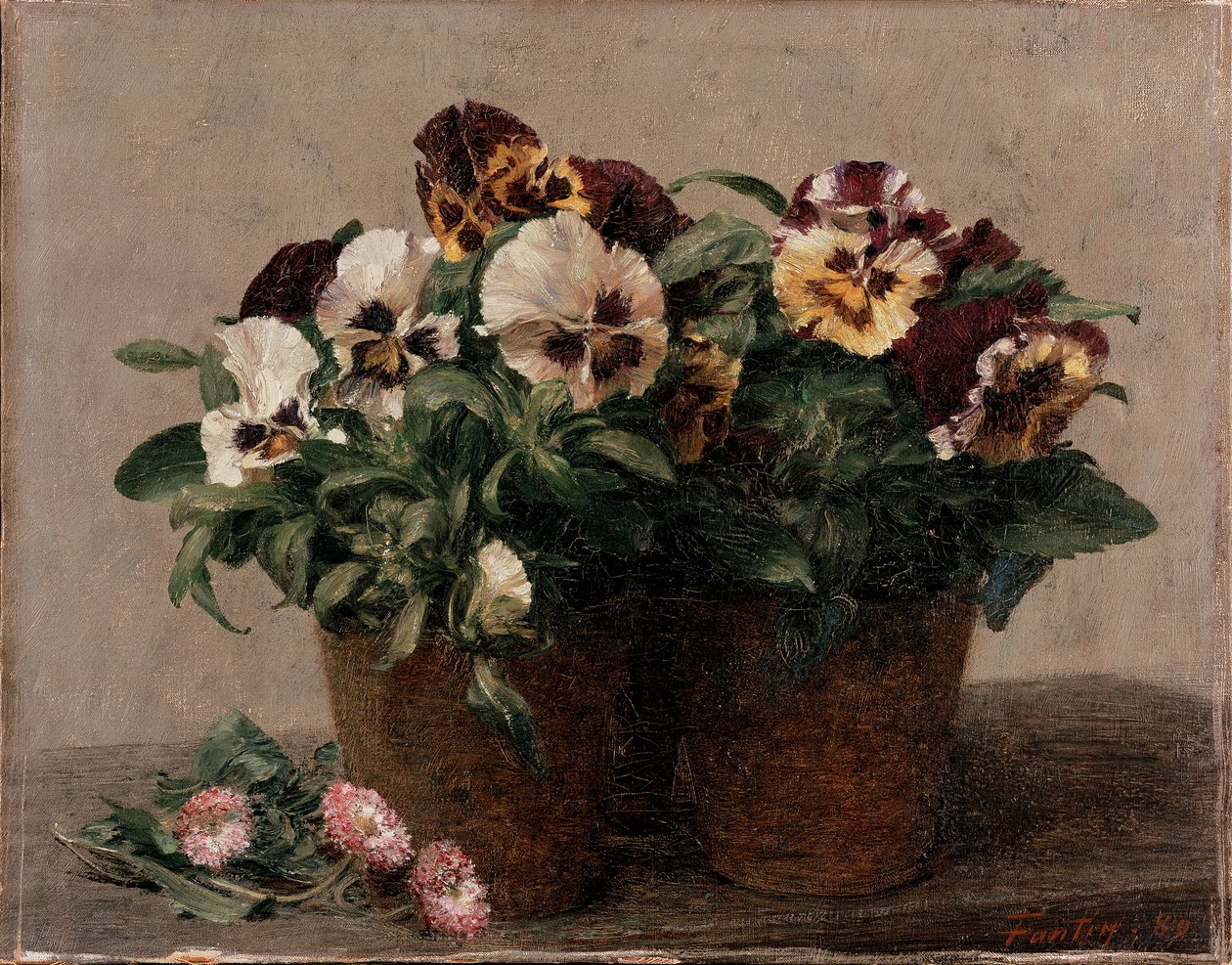 Still Life: Pansies and Daisies by Ignace Henri Jean Fantin Latour