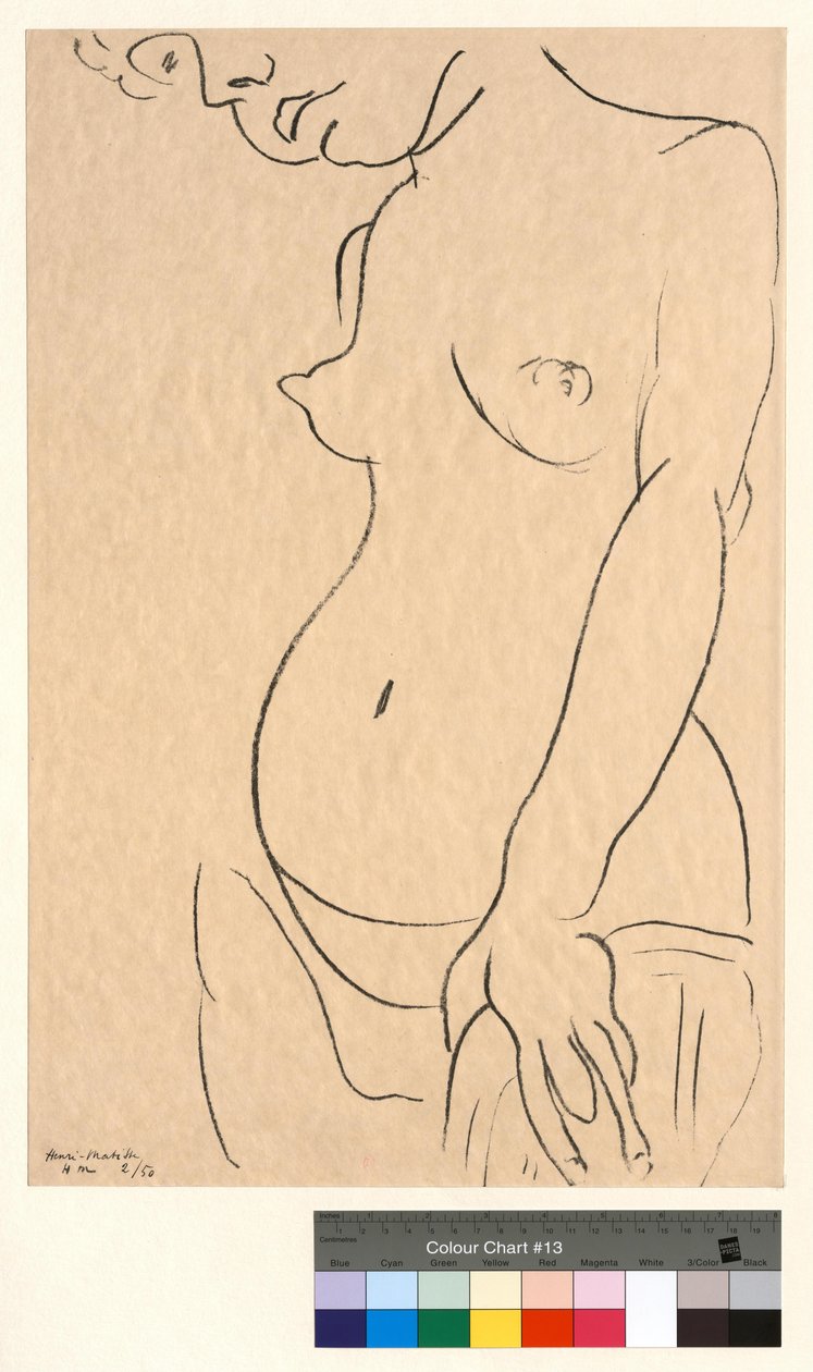 Nude with a Cut Face by Henri Matisse
