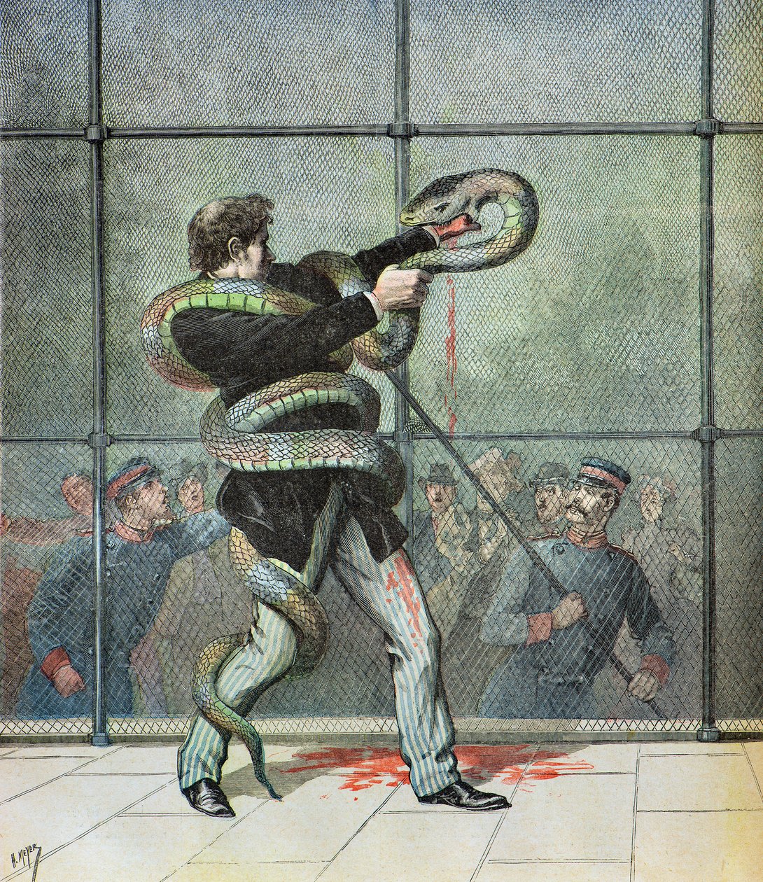 Science Teacher Injured by a Python by Henri Meyer