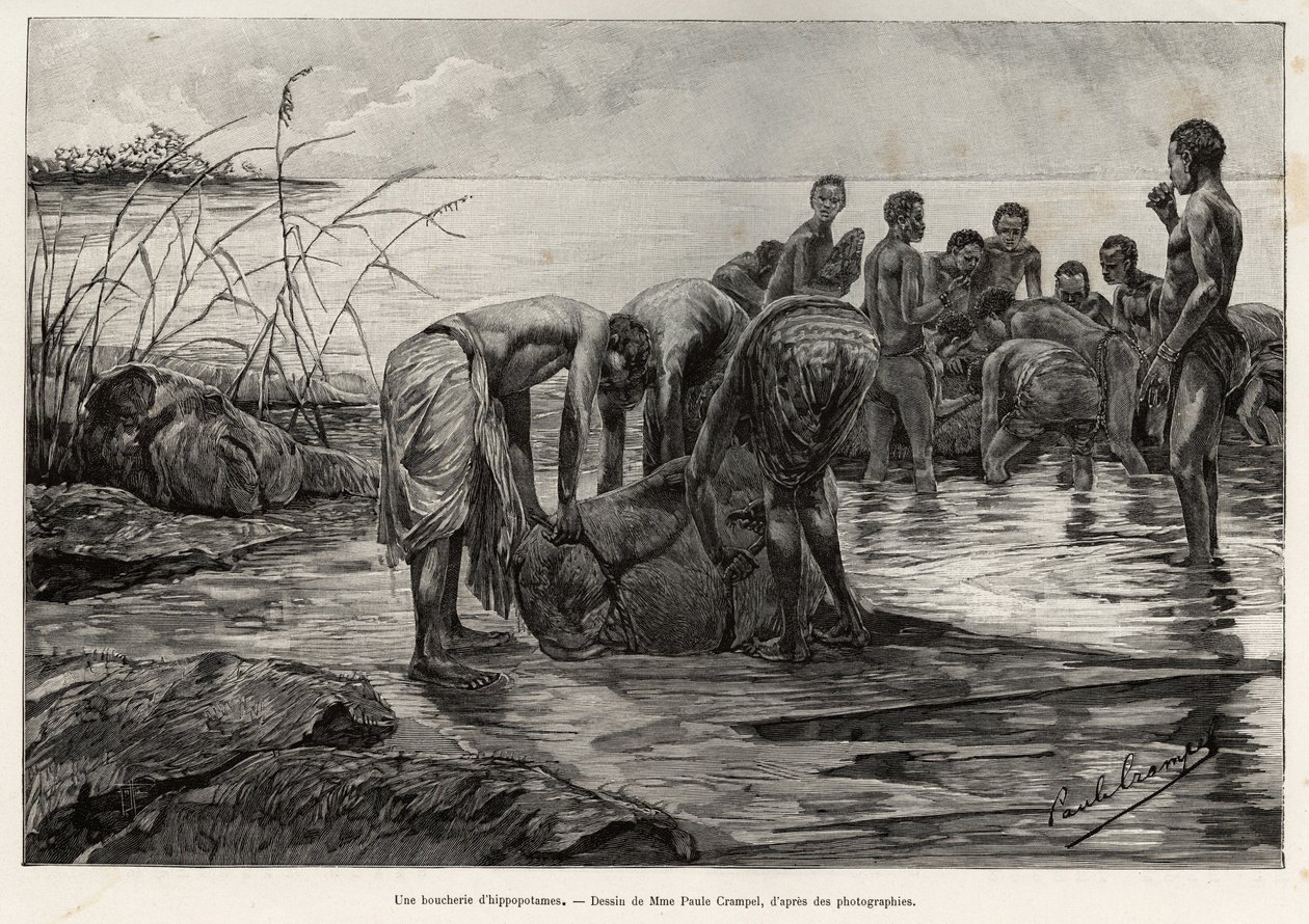 A hippo butcher shop on the banks of a Central African river. Engraving by Henri Thiriat to illustrate the story 
