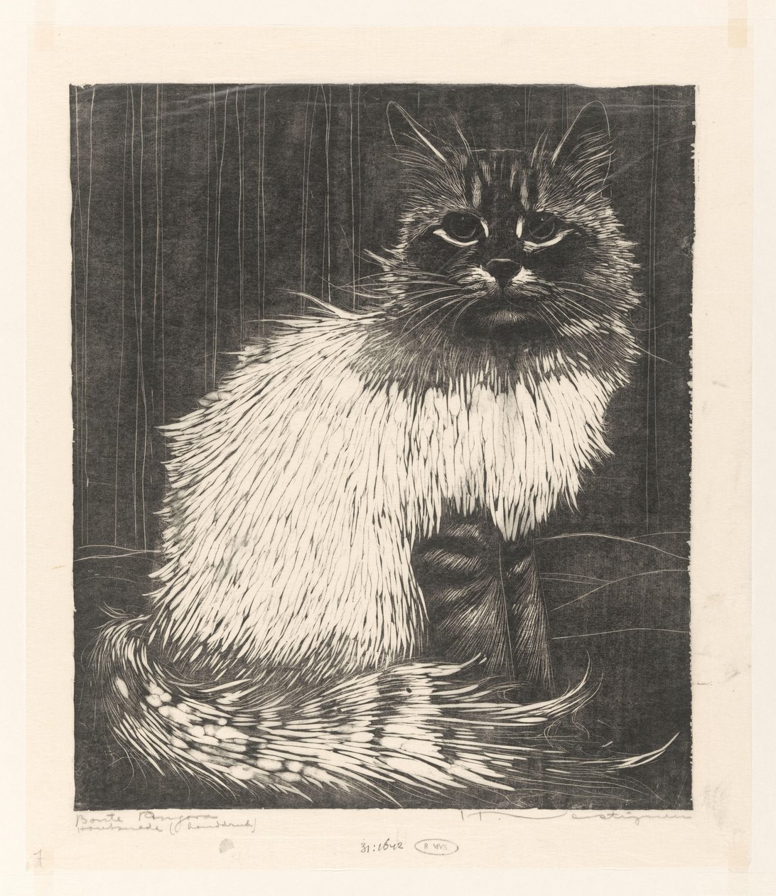 Colorful Angora by Henri Verstijnen (signed by artist)