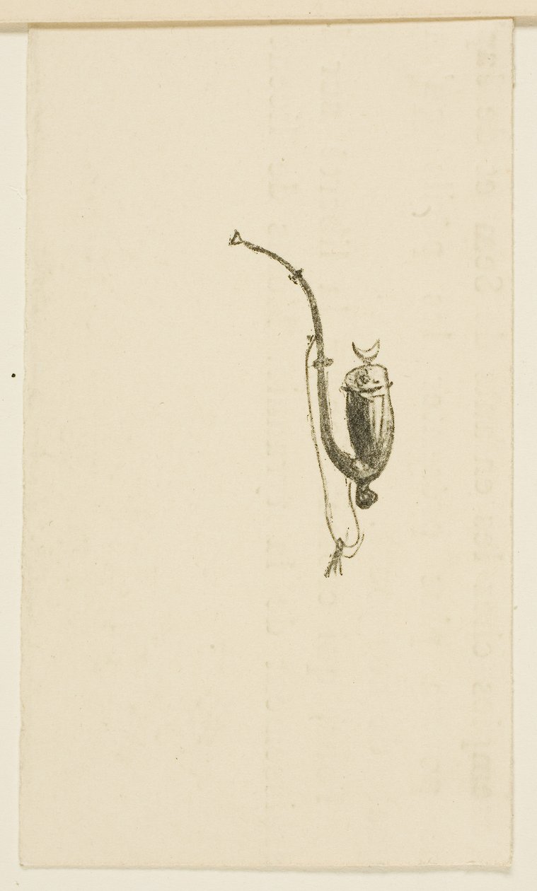 Tailpiece from Au Pied du Sinaï by Henri de Toulouse-Lautrec