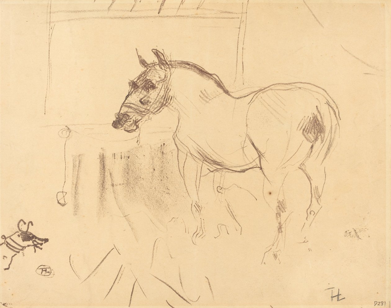 The Small Pony from Calmese by Henri de Toulouse-Lautrec