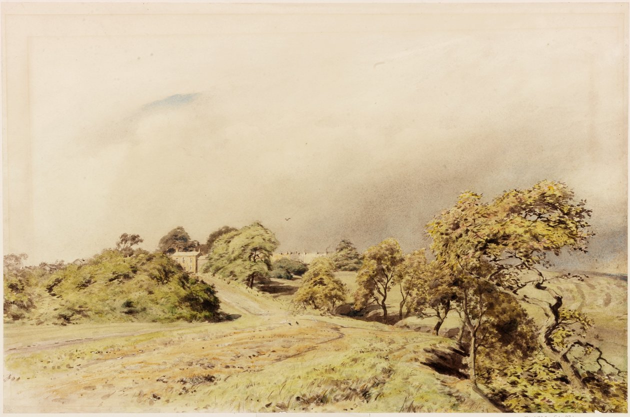 Beaumont by Henry Burdon Richardson