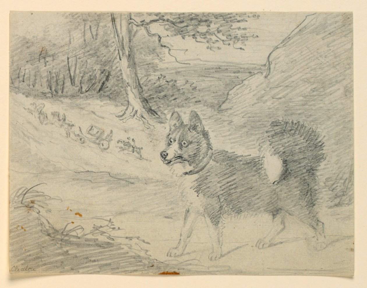 Study of an Elk Hound by Henry Bernard Chalon
