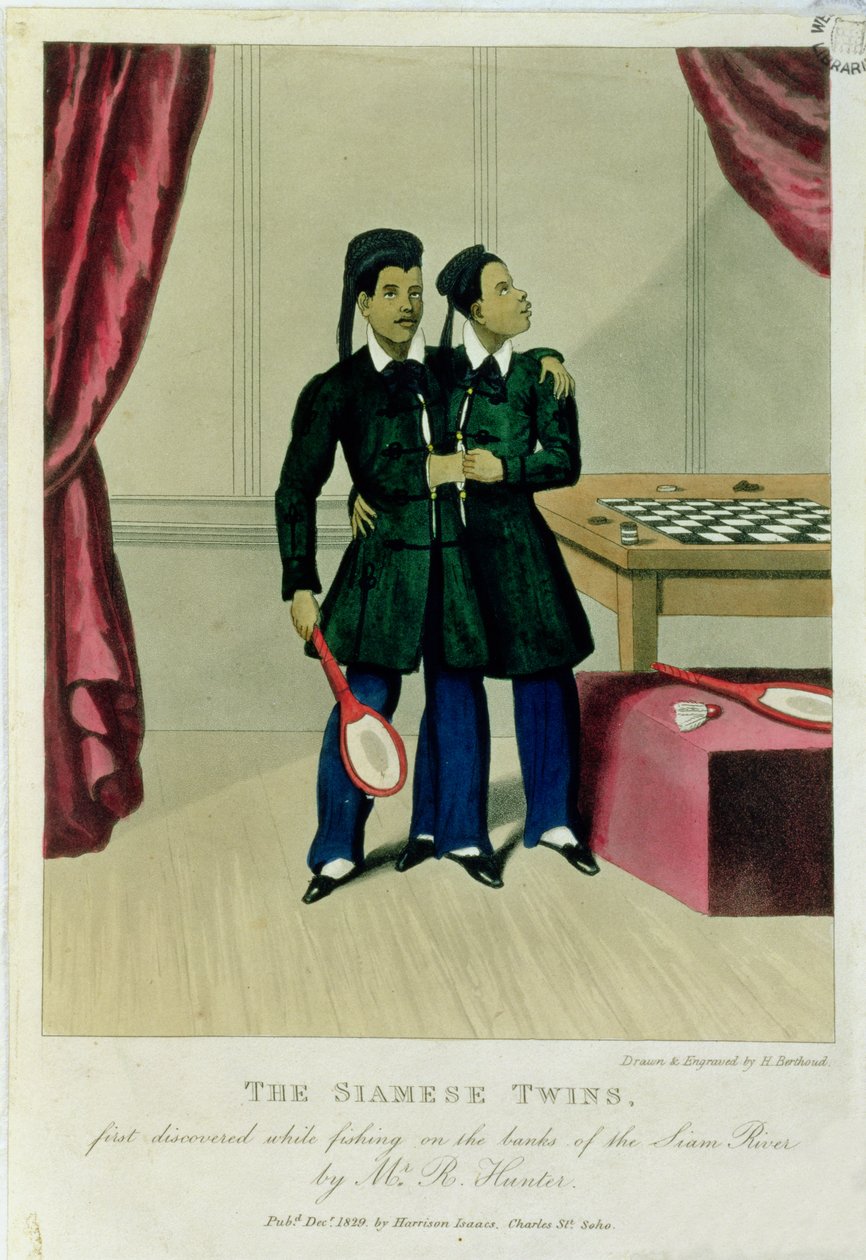 The Siamese Twins, First Discovered While Fishing on the Banks of the Siam River by Mr R. Hunter, 1829 by Henry Berthoud