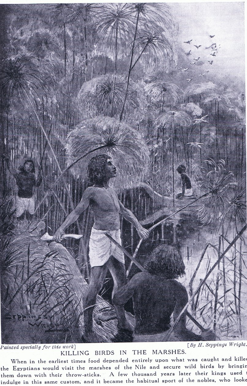 Killing Birds in the Marshes, c.1920 by Henry Charles Seppings Wright