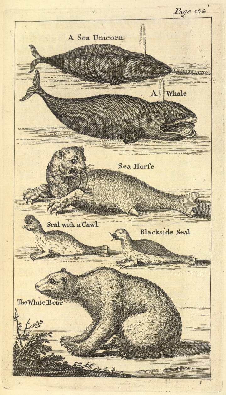 Several Creatures, from A Voyage to Hudson