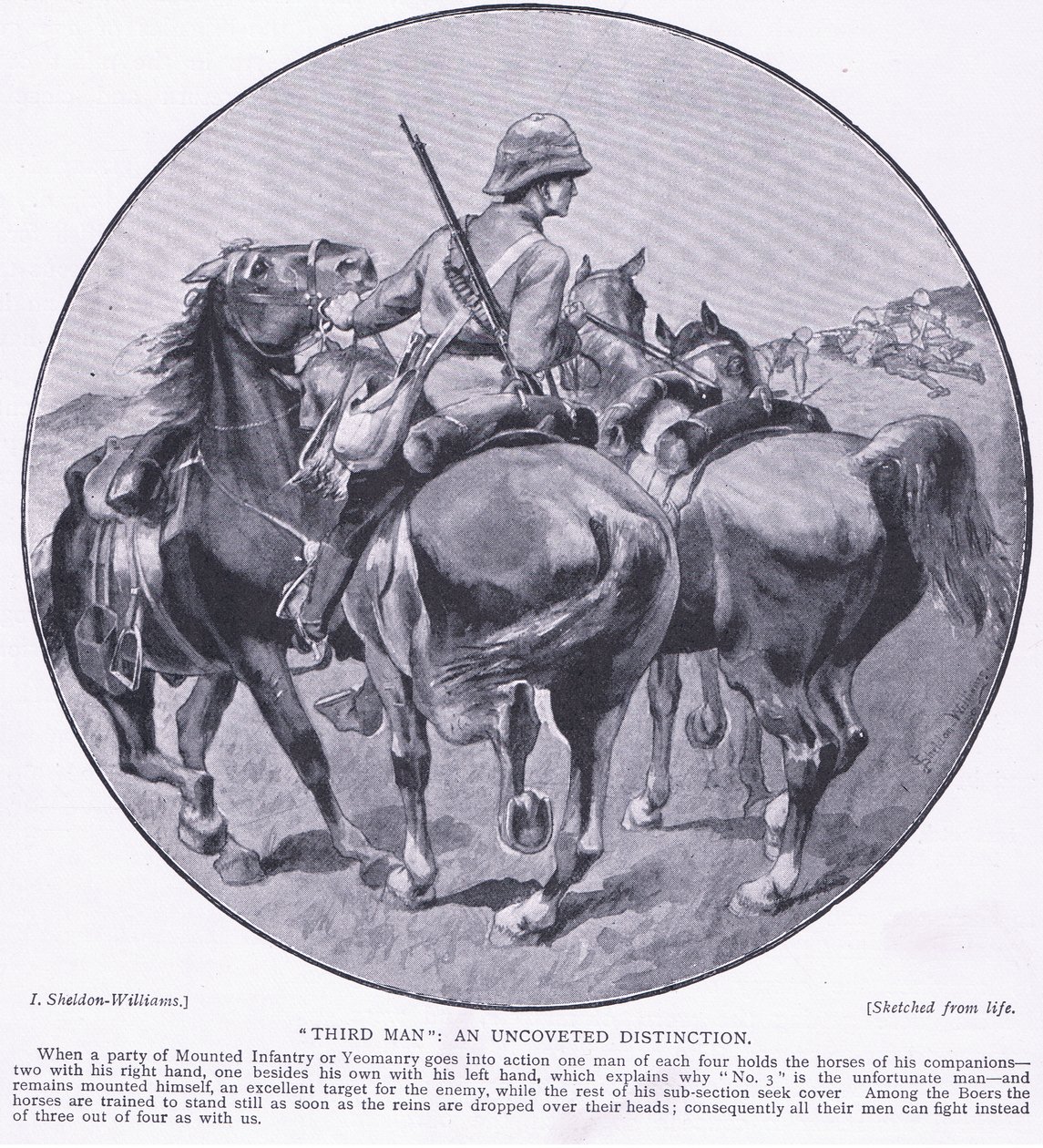 Third Man an Uncoveted Distinction, from After Pretoria: The Guerilla War by Henry Inglis Jodrel Sheldon Williams