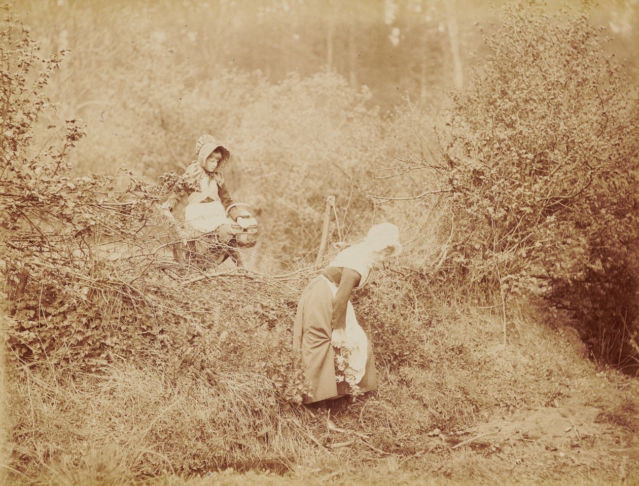 Over Hedge and Ditch by Henry Peach Robinson