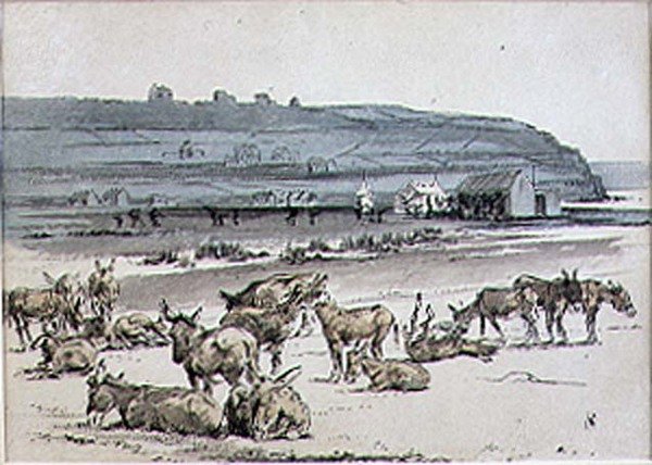 Donkeys on the Golf Course, illustration from 