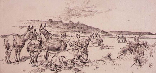 Donkeys on the Golf Course by Henry Sandercock