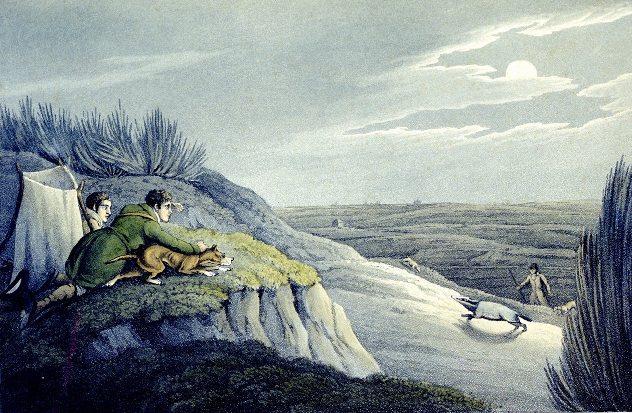 Badger Catching from the National Sports of Great Britain (engraved by J.H. Clarke) by Henry Thomas (after) Alken