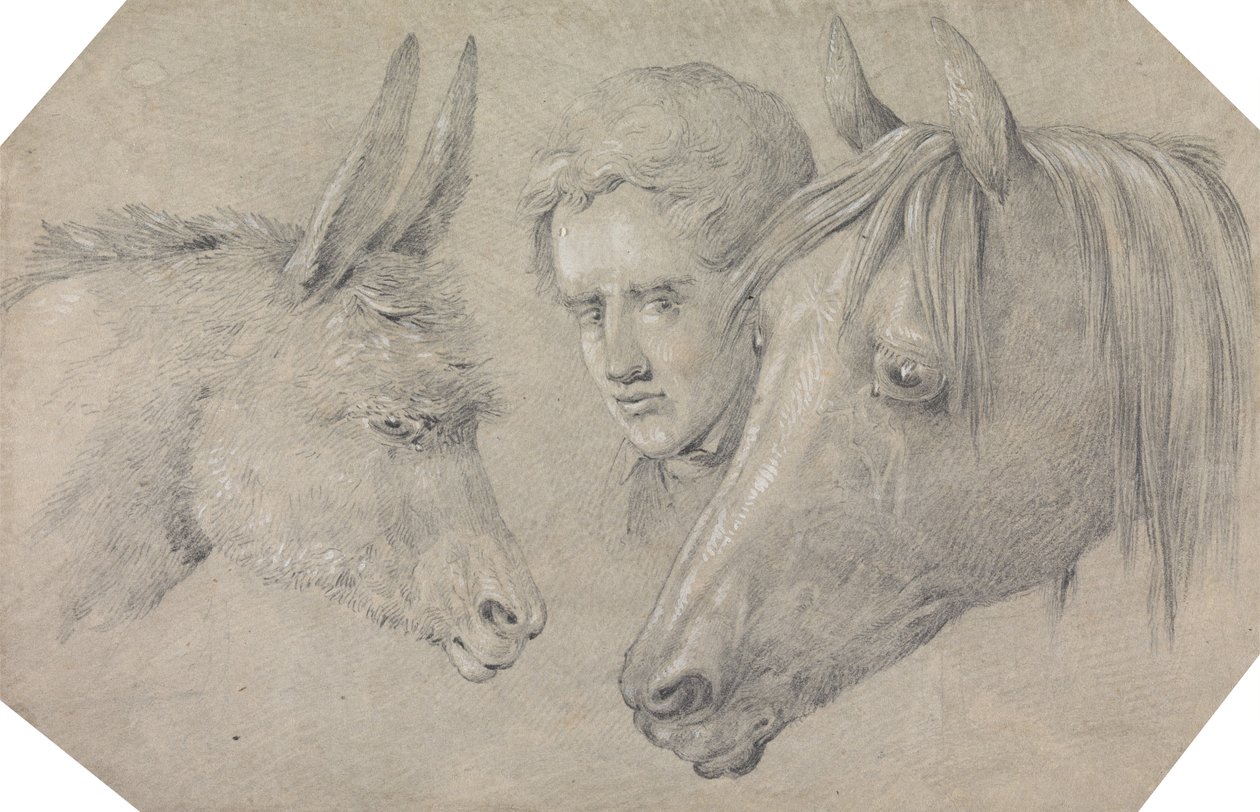 Head of a Stable Lad, Looking Between the Heads of a Horse and a Donkey by Henry Thomas Alken