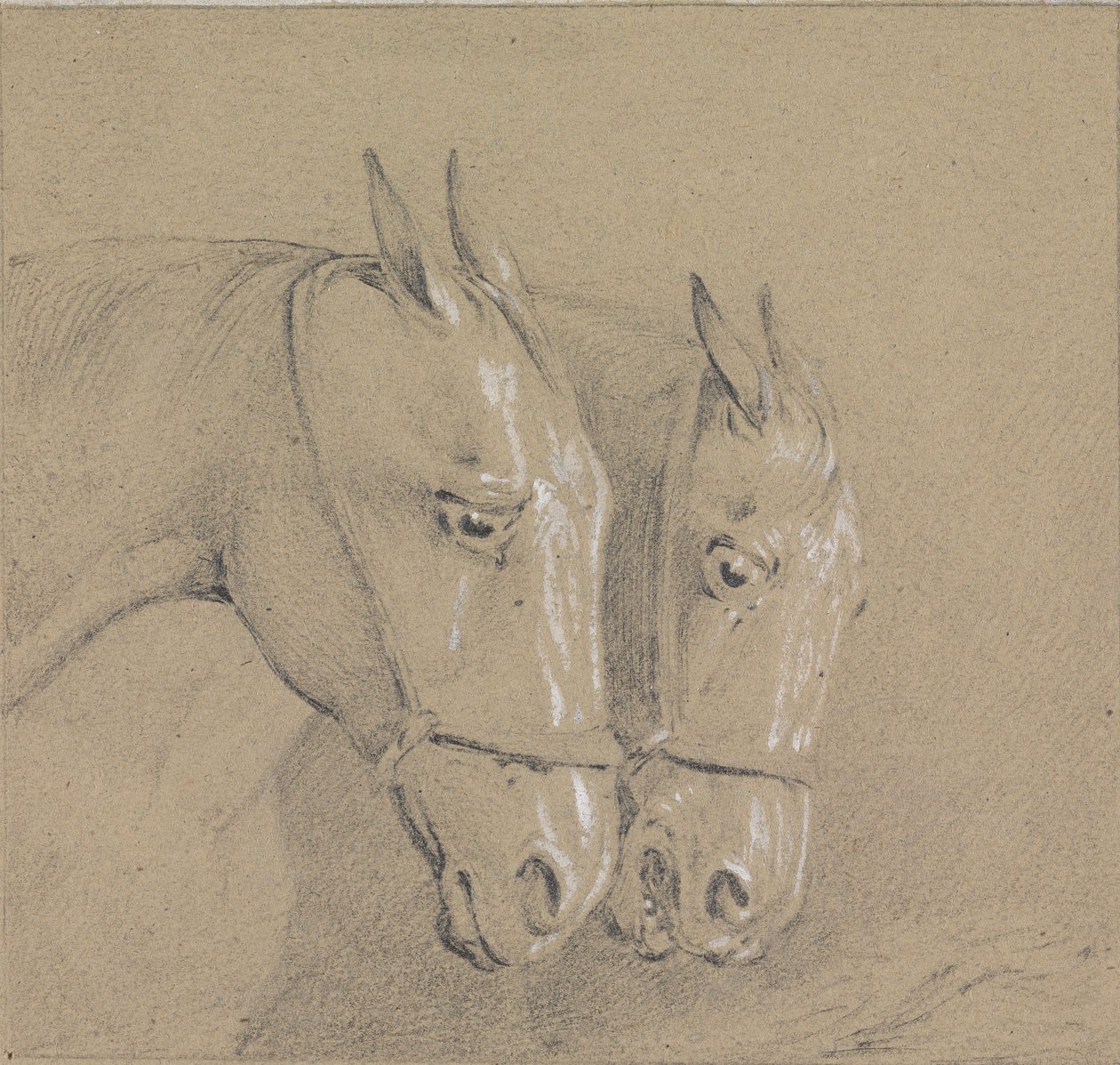 Heads and Necks of Two Horses Wearing Bridles, Right Profiles by Henry Thomas Alken
