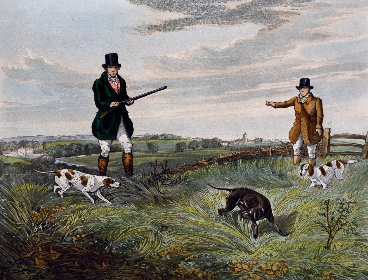 Partridge hunting by Henry Thomas Alken: Fine art print