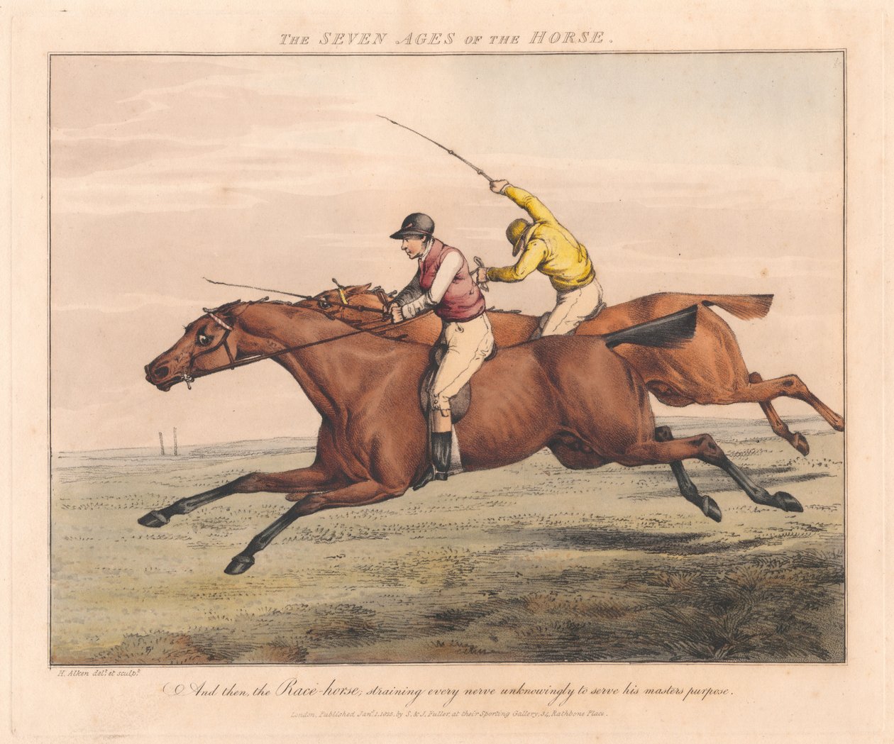 Set of Seven: The Seven Ages of the Horse by Henry Thomas Alken