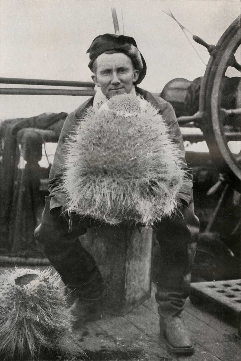 D. G. Lillie, with Some of the Siliceous Sponges by Herbert Ponting