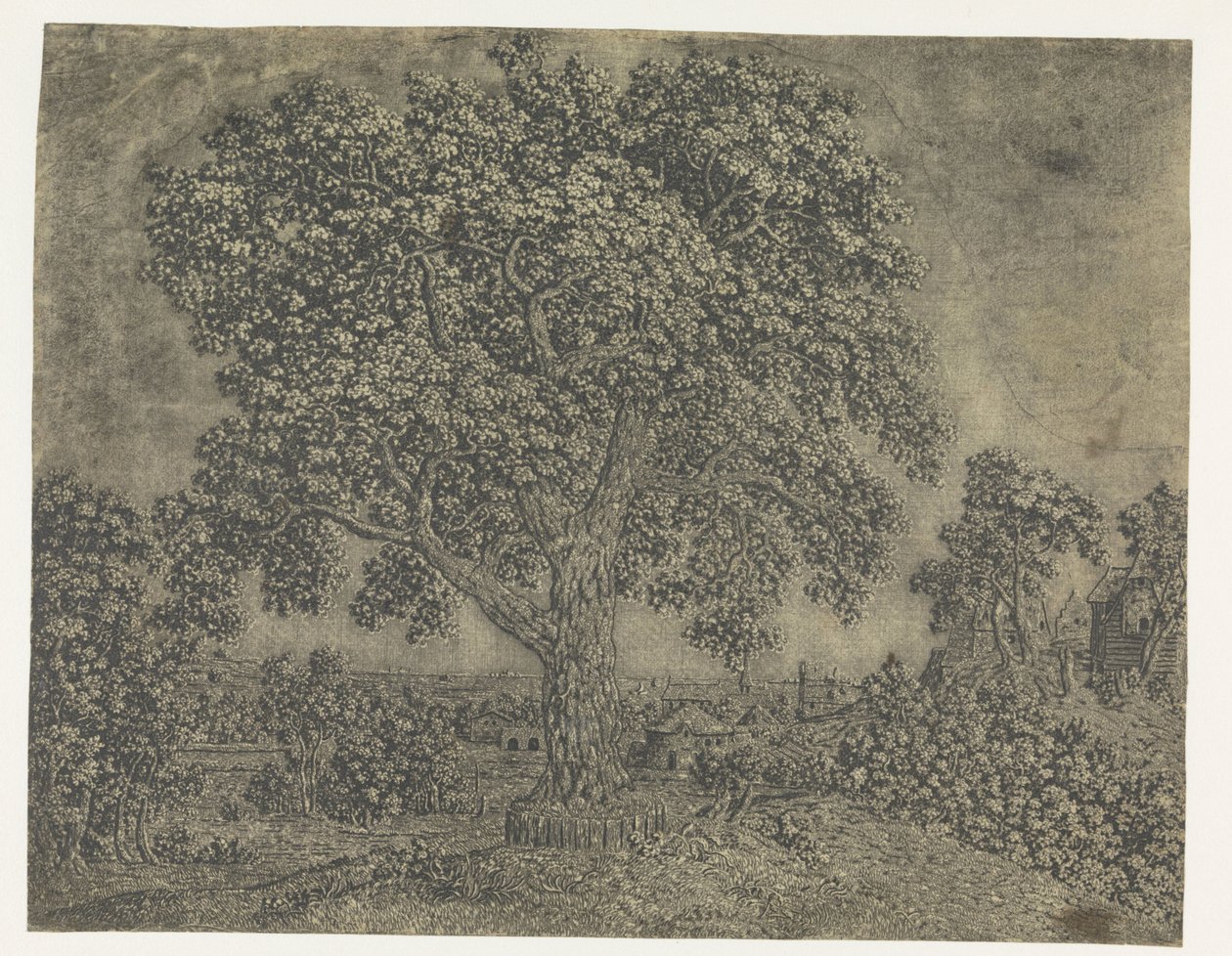 The Large Tree by Hercules Segers: Premium art reproduction