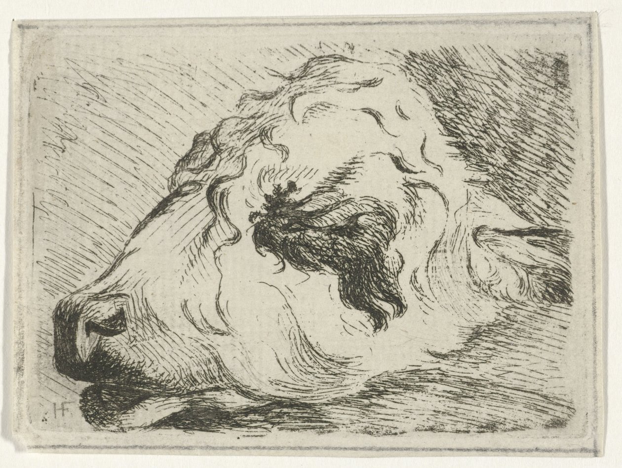 Head of a Calf, in Profile, Resting on a Beam by Hermanus Fock