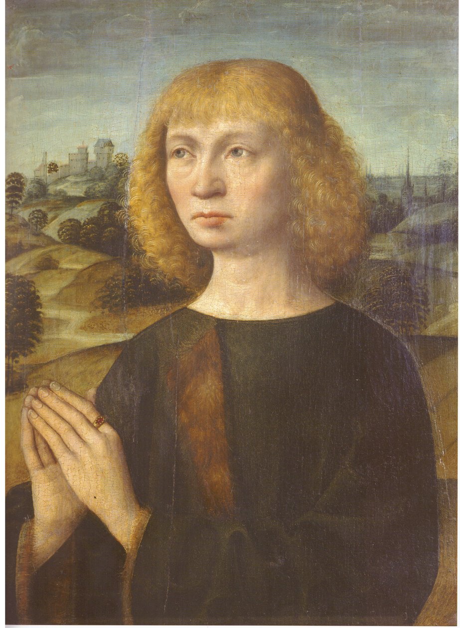Portrait of a Young Man by Hermen Rode: Buy fine art prints