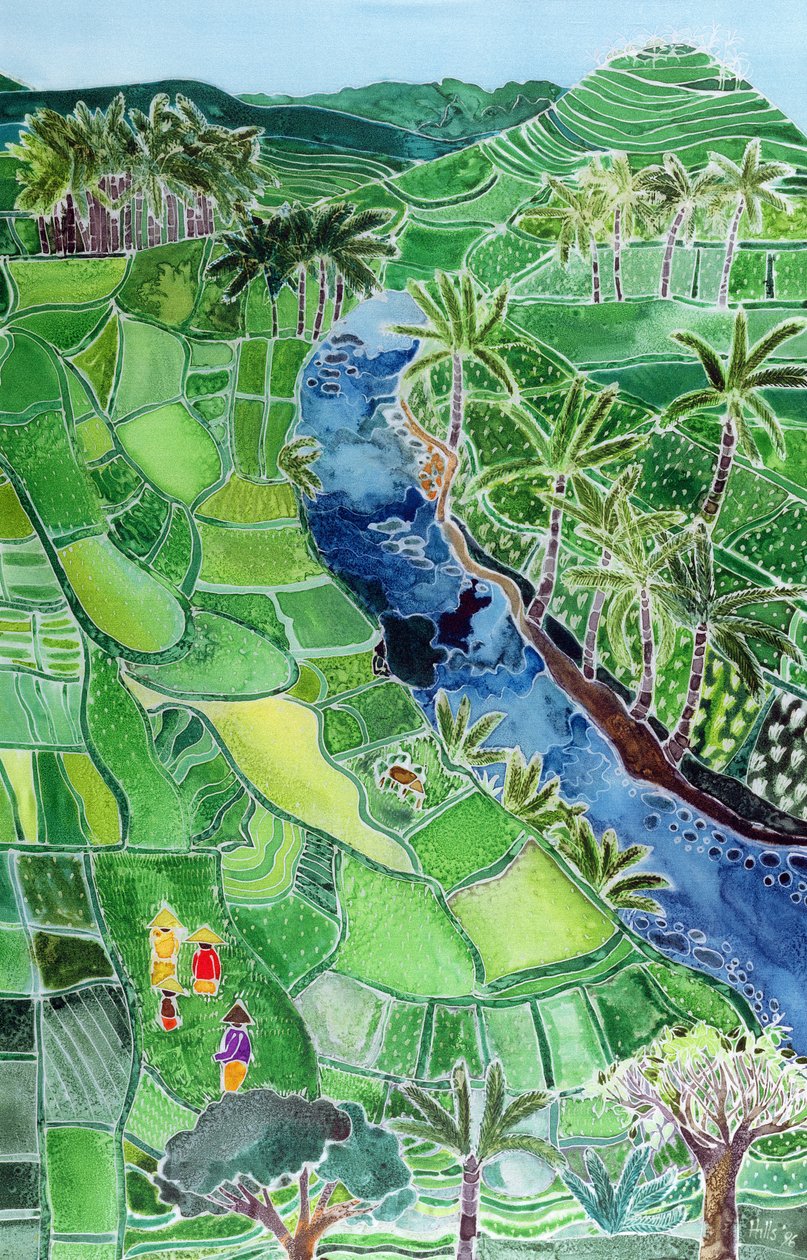 River Agung, Bali by Hilary Simon