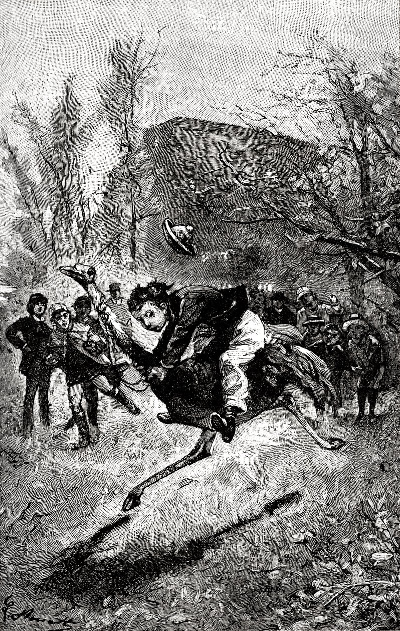The young Service is riding on an ostrich. Engraving by Hippolyte Leon Benett