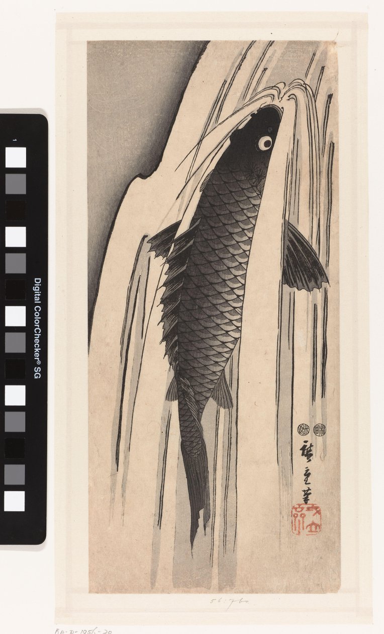 Carp Swimming Upstream Against a Waterfall by Hiroshige (I) , Utagawa