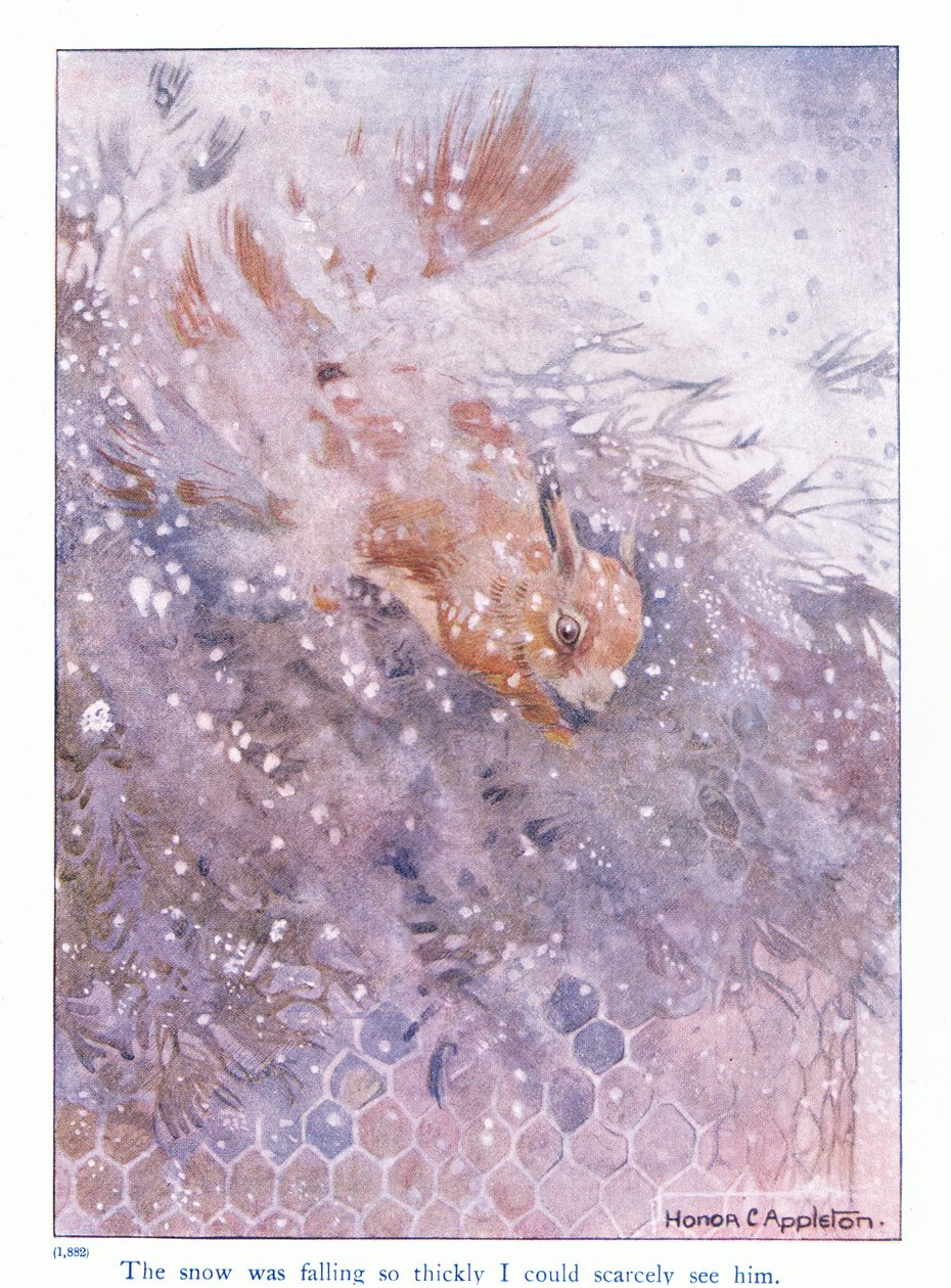 The snow was falling so thickly I could scarcely see him (illustration from 