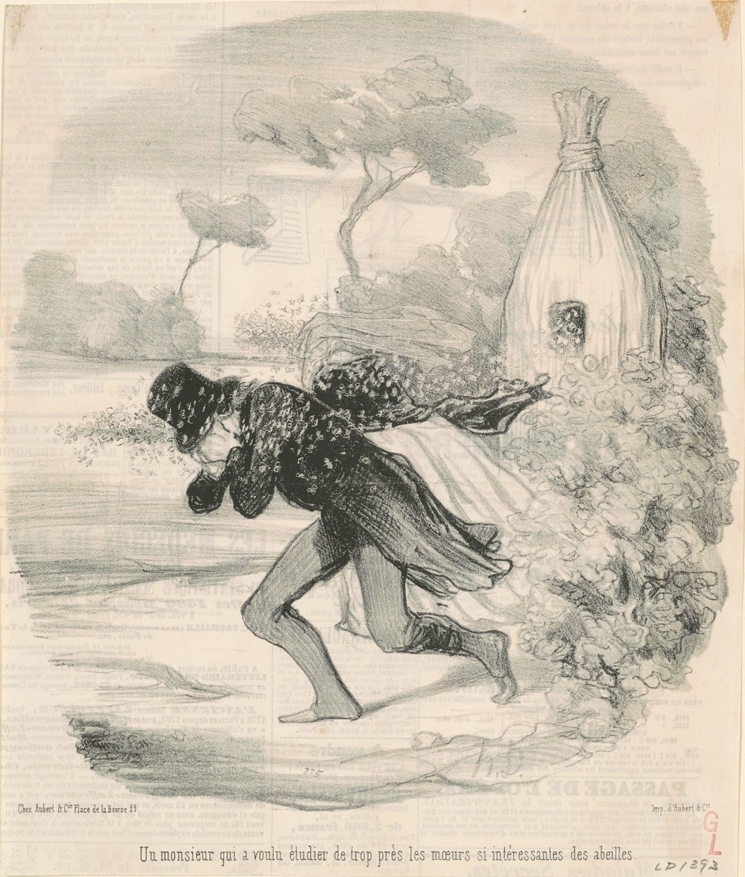 A Gentleman Who Wanted to Study... the Habits... of Bees by Honoré Daumier