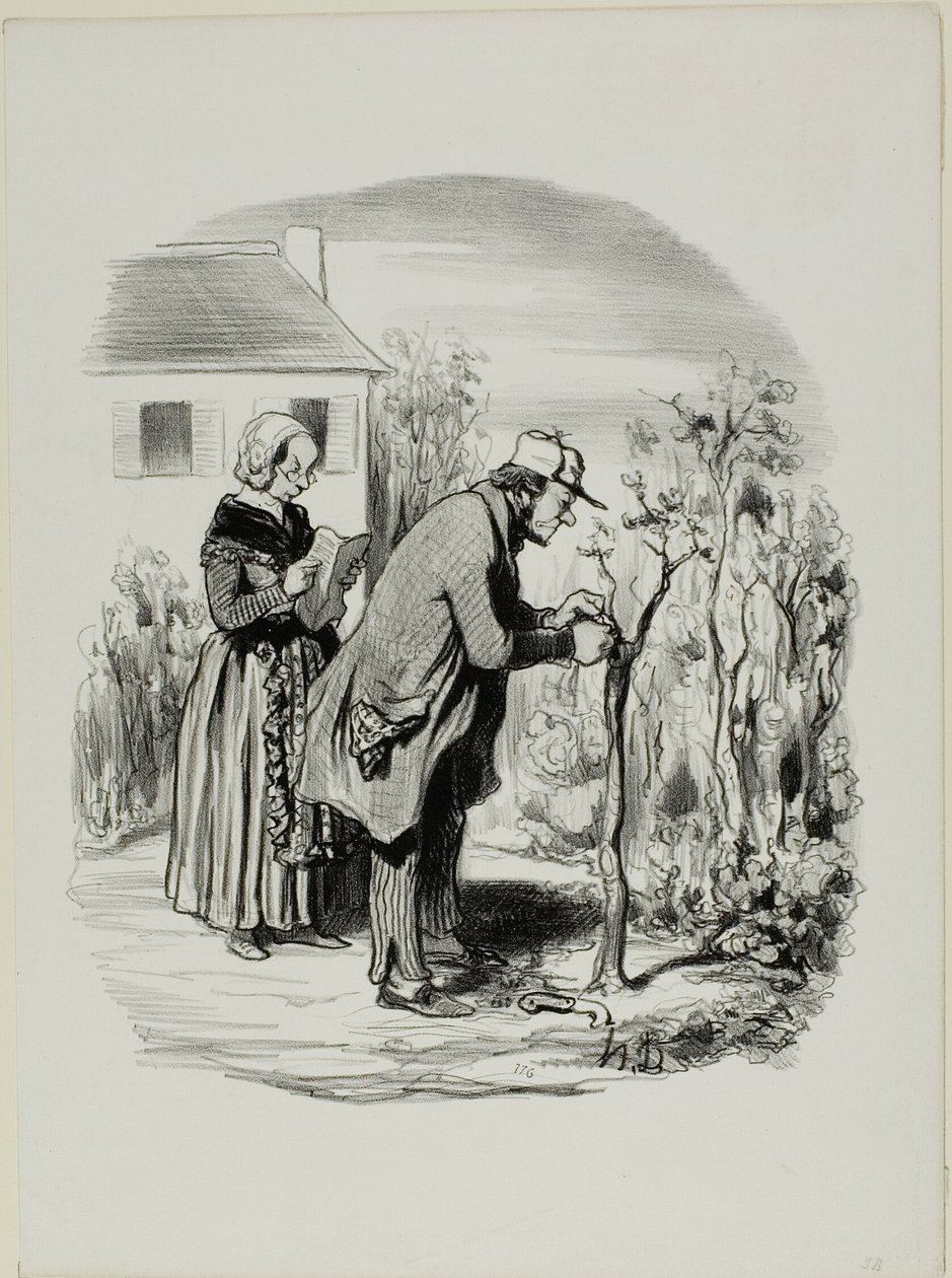 “- My graft of a cherry slip on an apricot tree really didn