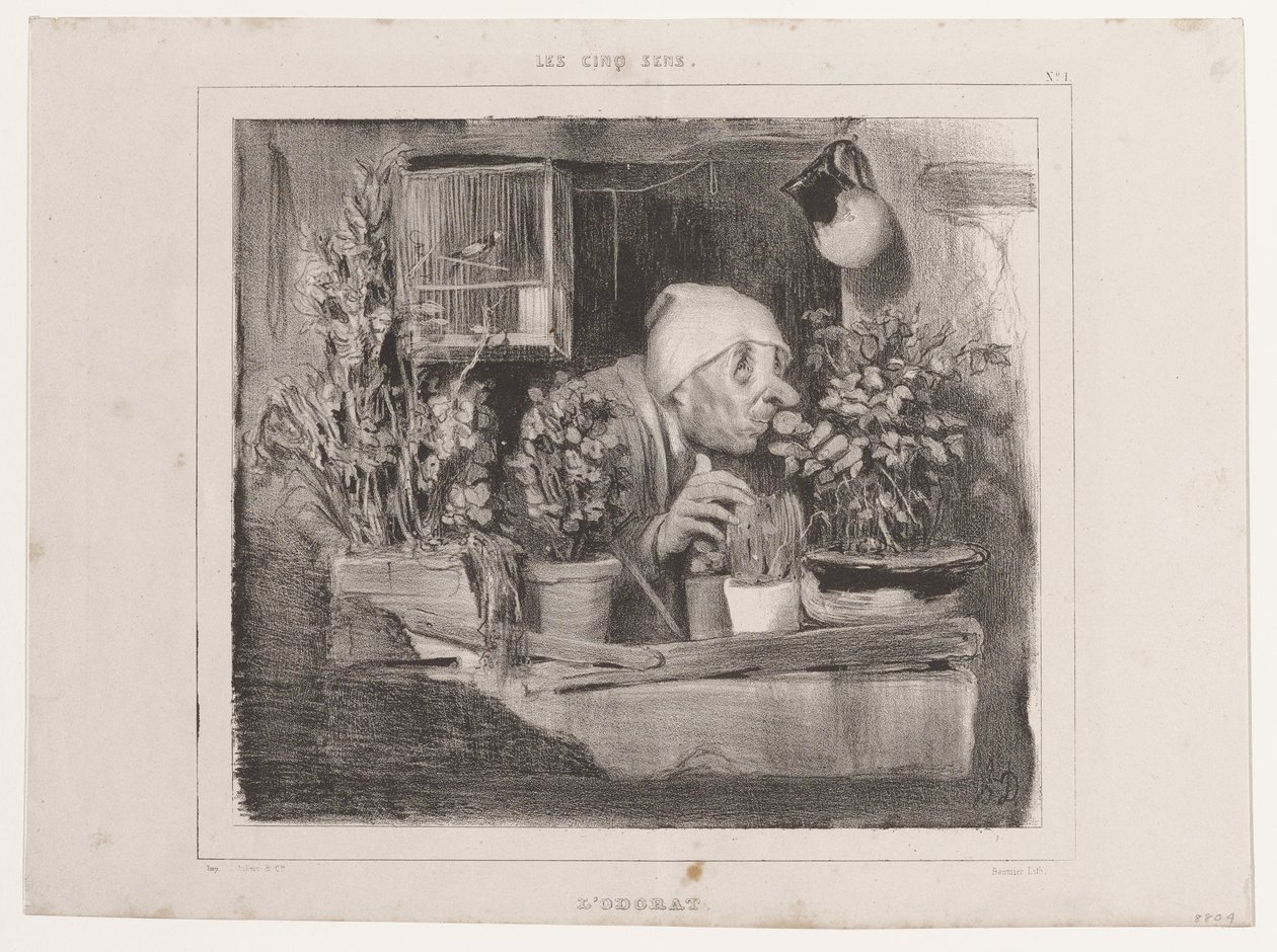 Smell (The Five Senses), from La Caricature by Honoré Daumier