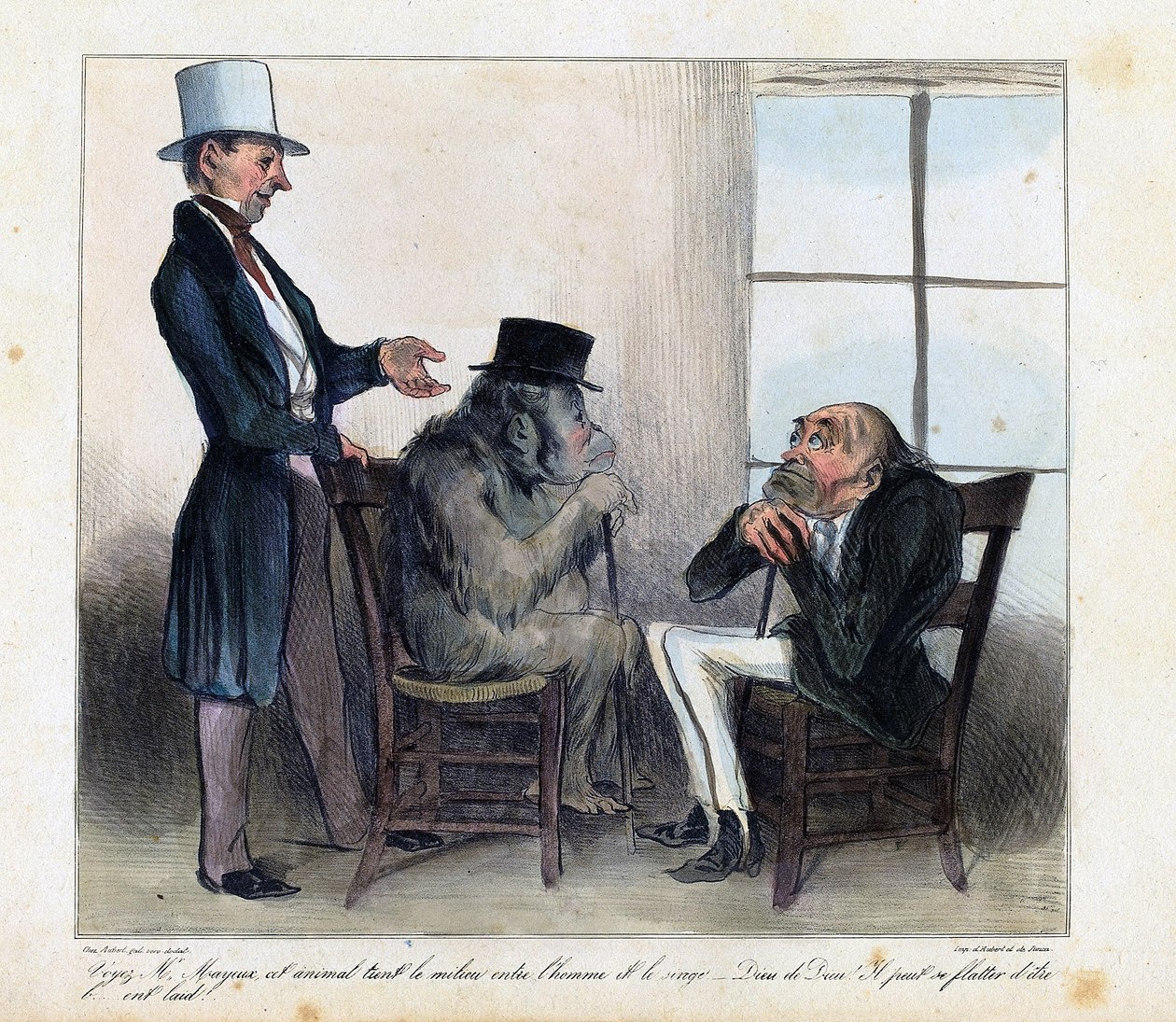 Cartoon depicting the similarities between an orangutan and a man - drawing by Honore Daumier from 