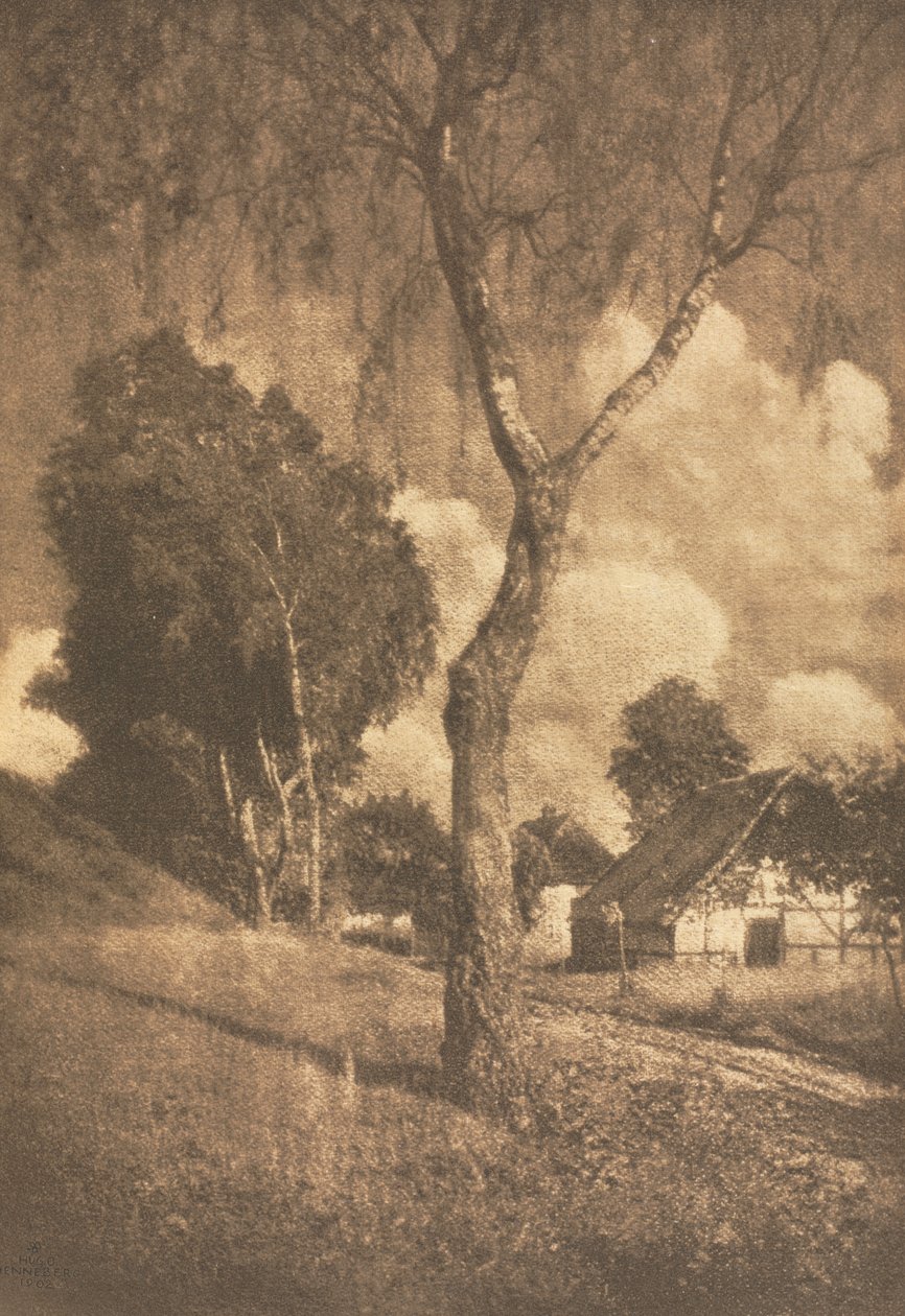 Camera Work: Pomeranian Motif by Hugo Henneberg