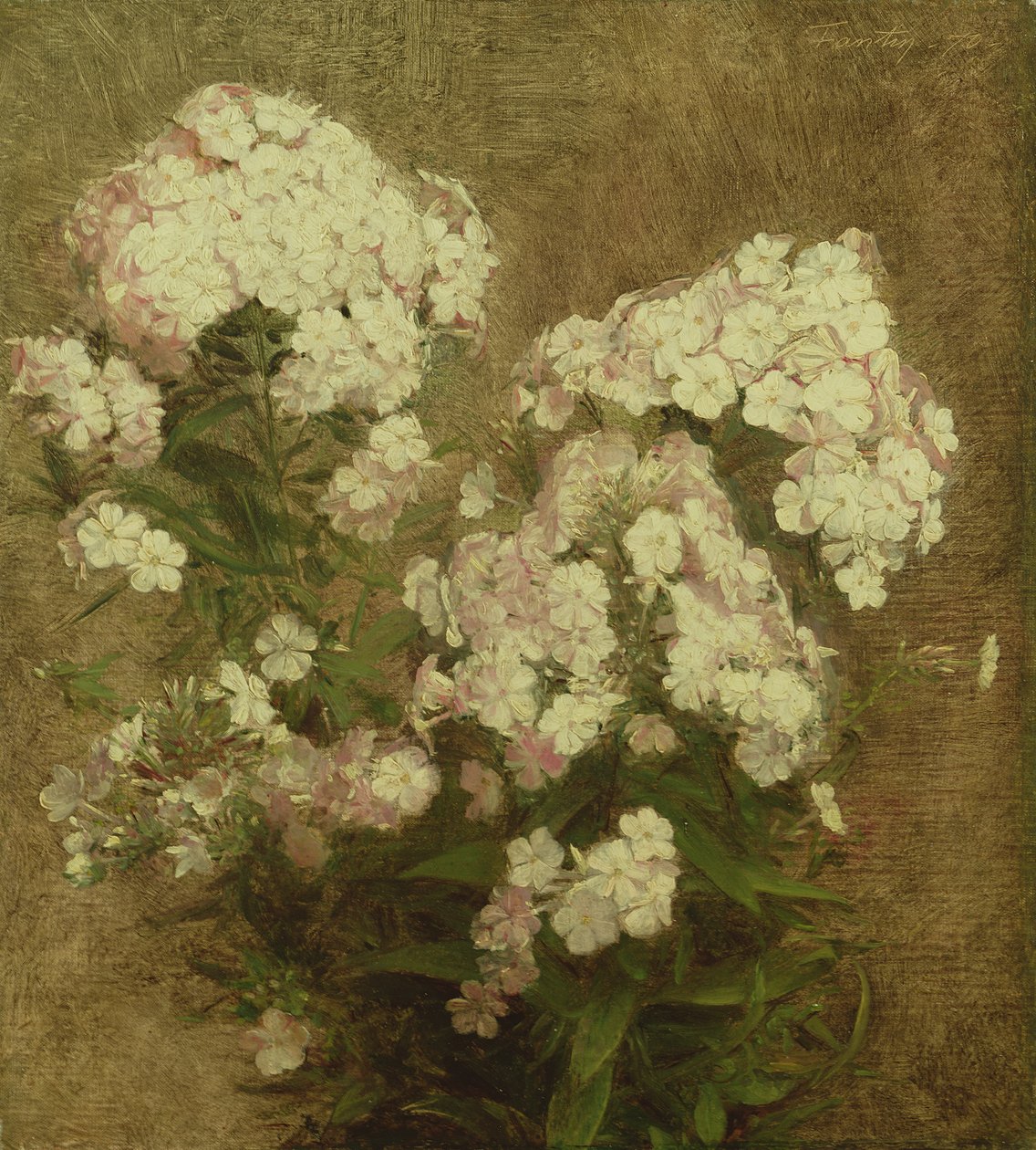 Phlox by Ignace Henri Jean Fantin-Latour