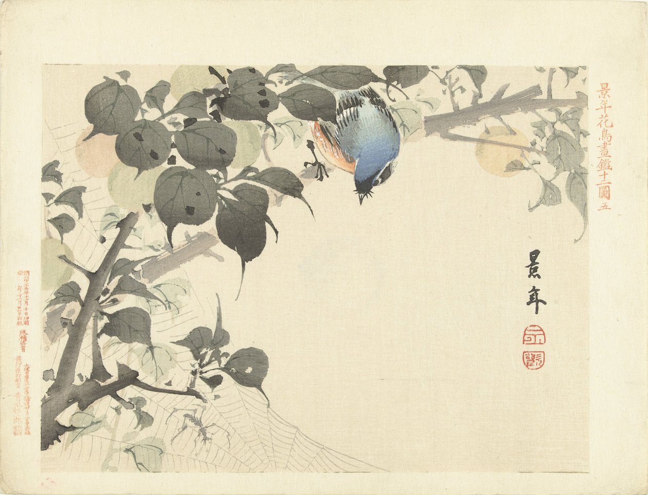 Blue-Orange Bird on Branch Looking at Spider by Imao Keinen