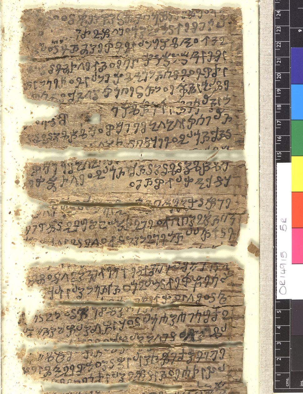 Fragments of birch bark manuscript in Kharoshthi by Indian School
