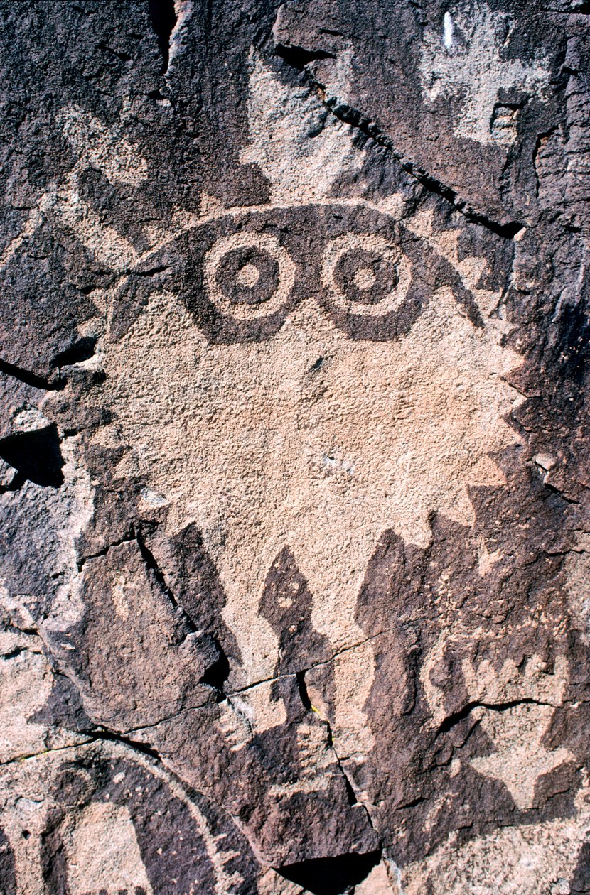 Anasazi Petroglyph carvings in New Mexico by Ira Block
