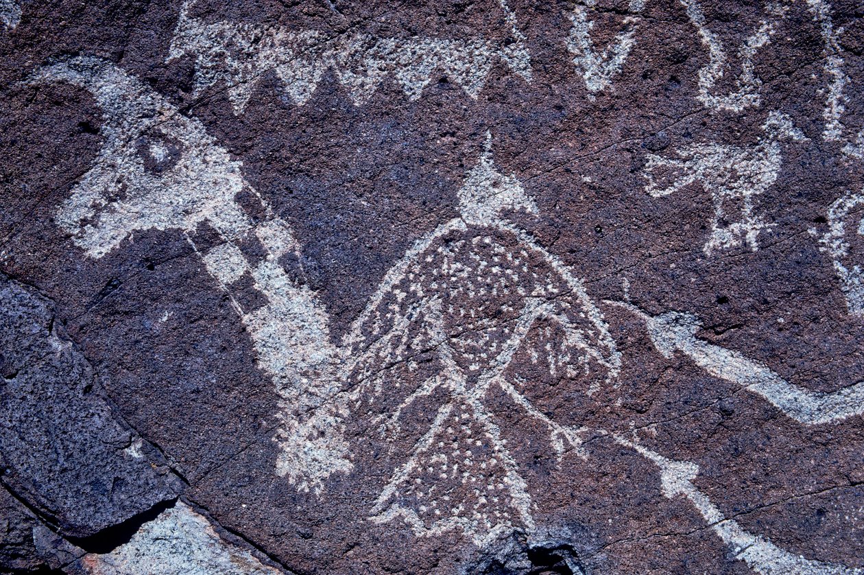 Anasazi Petroglyph (rock art) carvings in New Mexico. by Ira Block