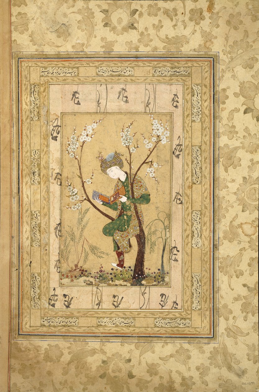Youth Seated in the Fork of a Blossoming Tree, 1560s by Iranian Master