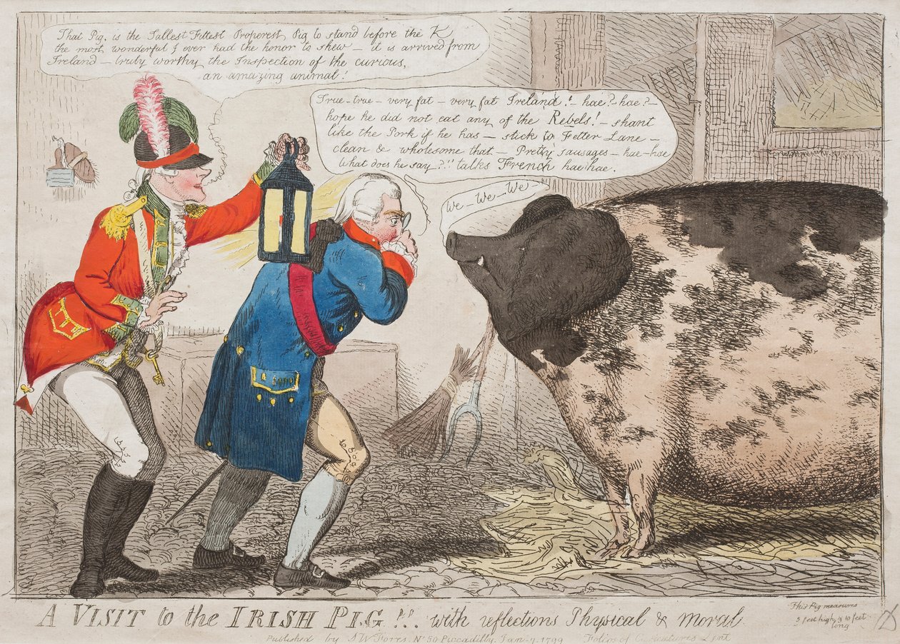 A Visit to the Irish Pig!! With Reflections Physical & Moral by Isaac Cruikshank