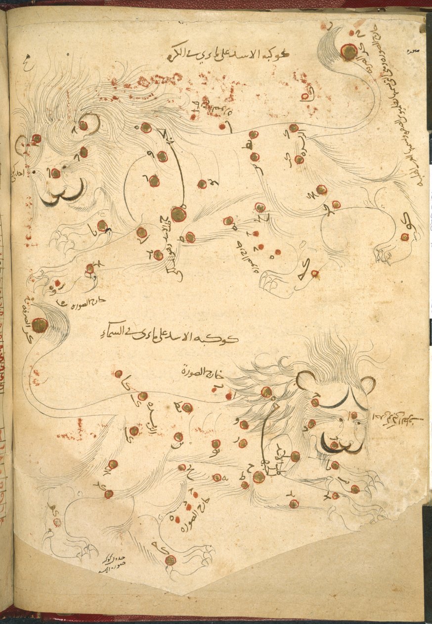 Two Lions, Illustration from A Description of the Fixed Stars, by Abd al-Rahman al-Sufi by Islamic School