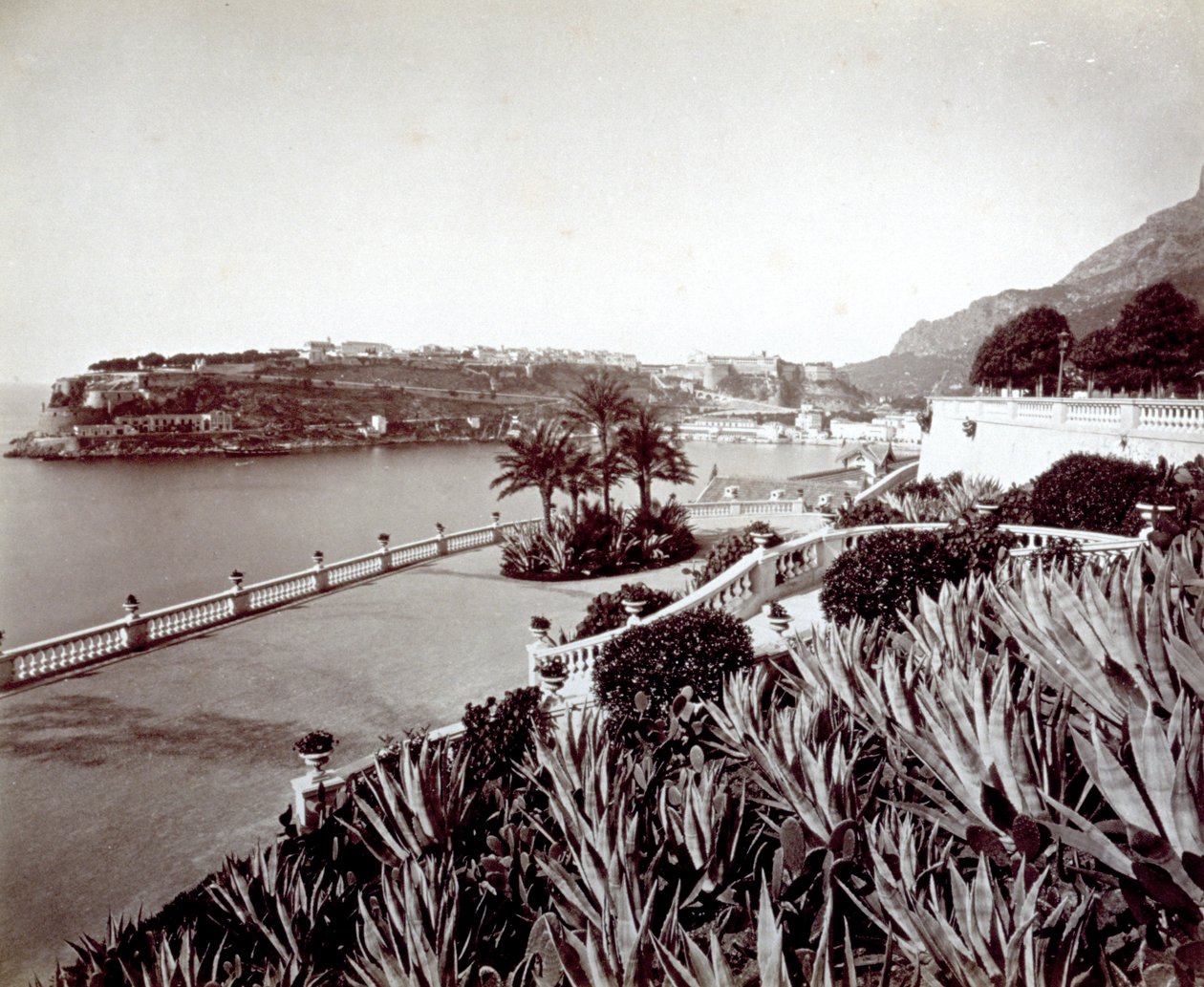 Panorama of Montecarlo. In the Foreground, Dense Vegetation of Agave Plants and Cactus by Italian Photographer