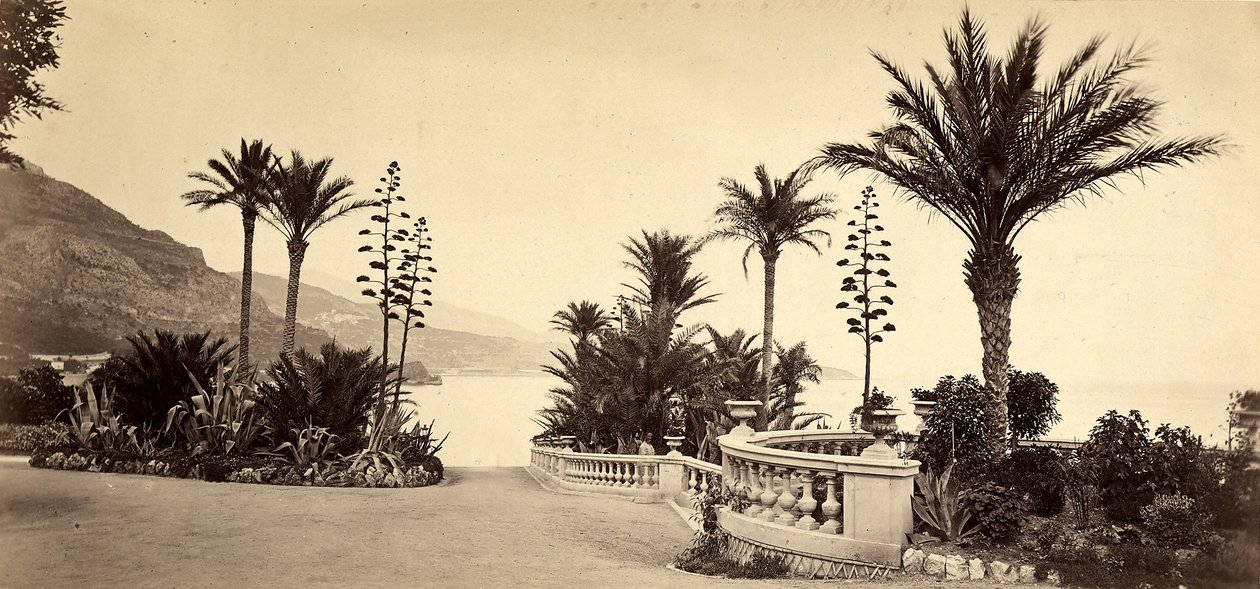 The garden of the Casino of Montecarlo, in the Principality of Monaco by Italian Photographer