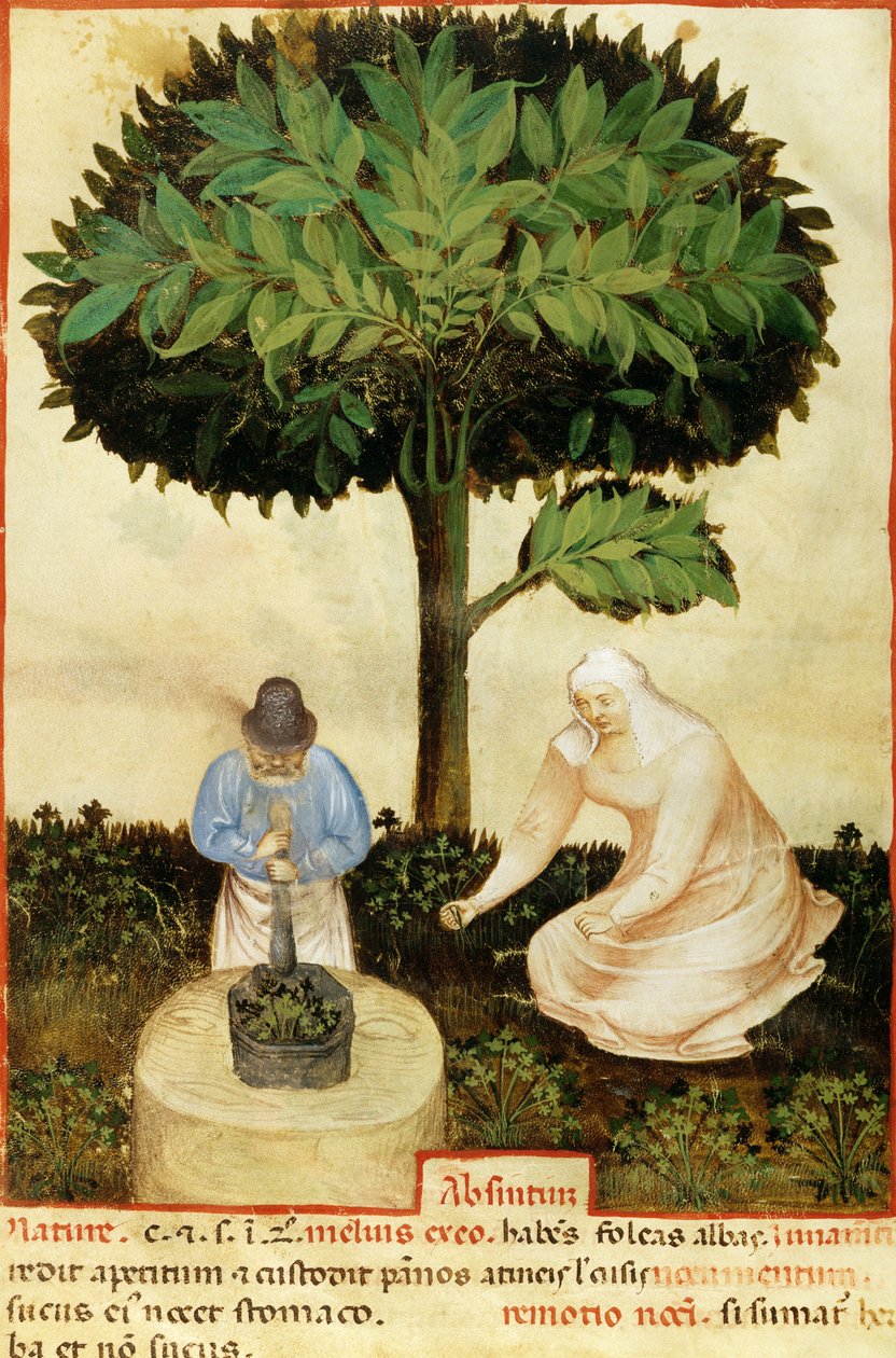 Absinthe, from a Manuscript on 'The Properties of Various Products' by ...
