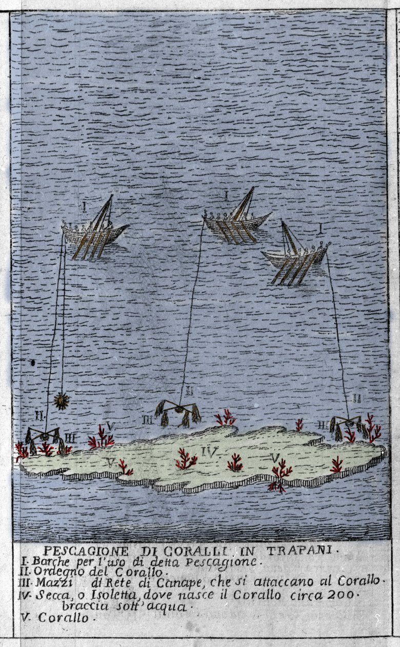 Coral fishing in the Gulf of Trapani in Sicily, a representation of small underwater islands where coral barrels are formed. Engraving from 