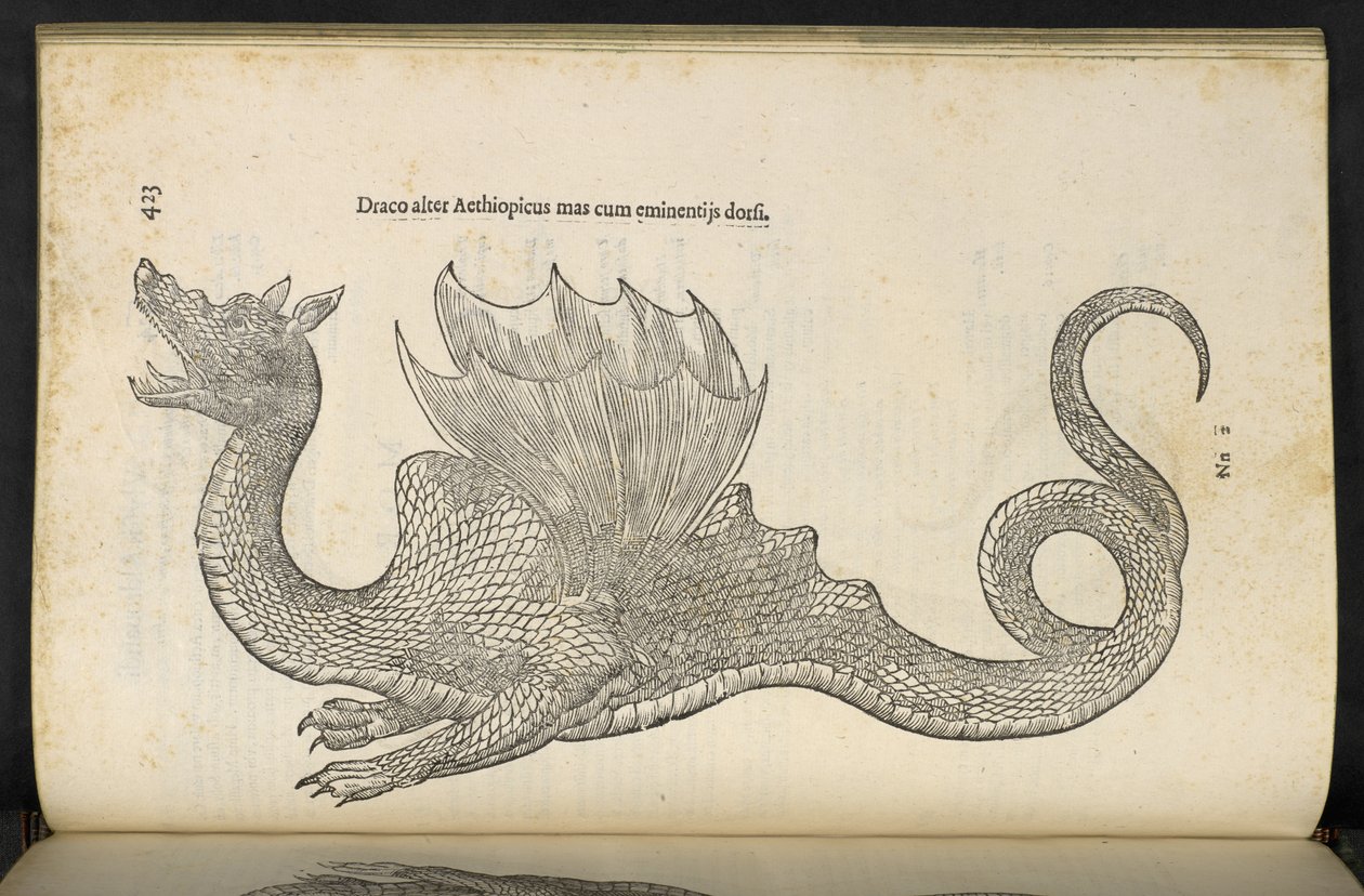 Ethiopian Dragon Serpentum, et draconum historiae libri duo, Bologna by ...