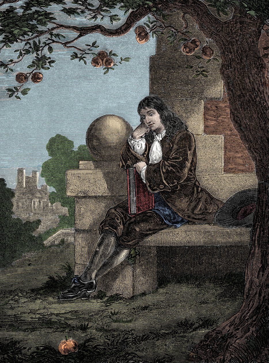 Isaac Newton Observing an Apple Fall to the Ground While Seated Beneath a Tree by Italian School